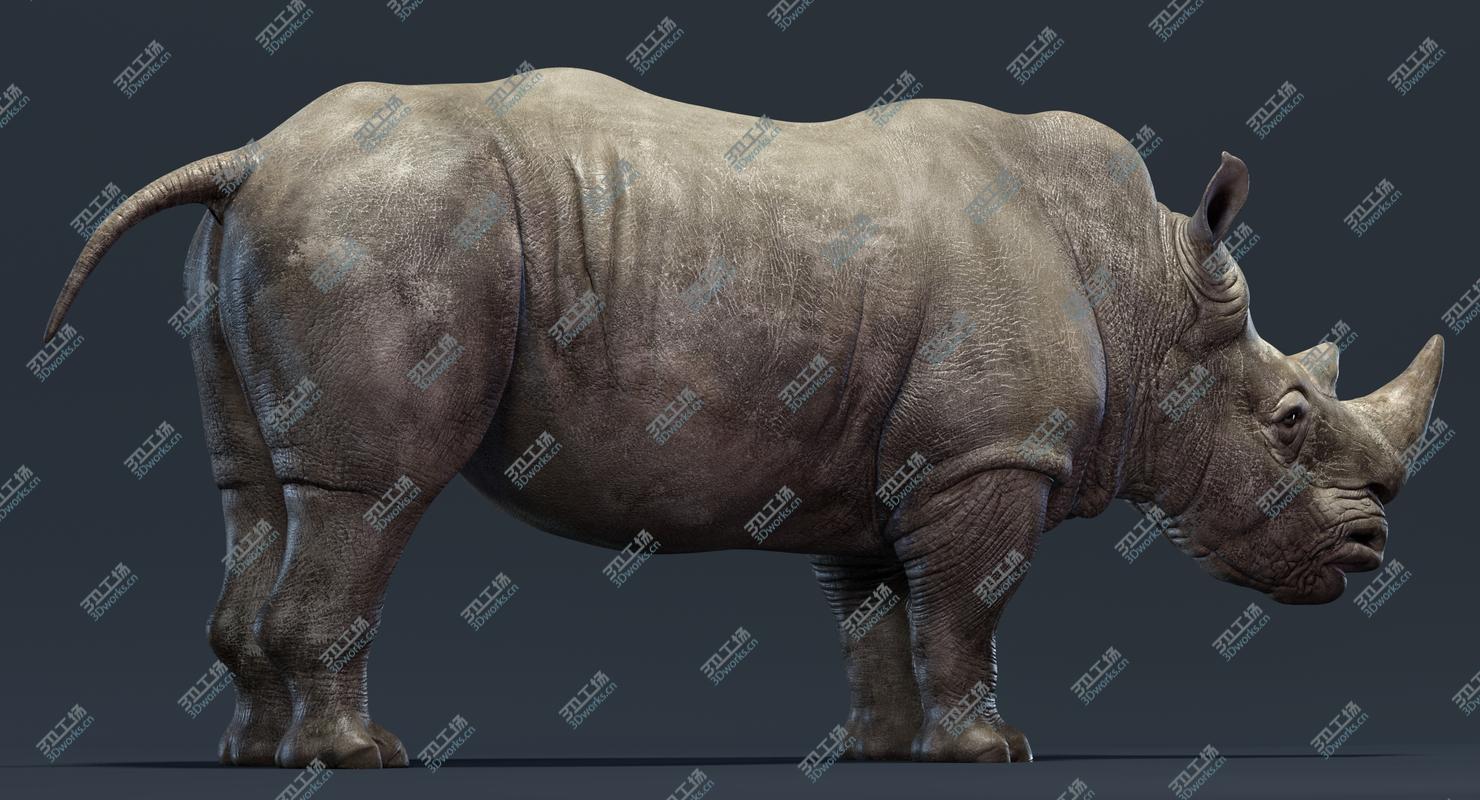 images/goods_img/202104021/3D Rhino (Rigged)/5.jpg